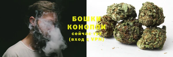 дурь Белокуриха