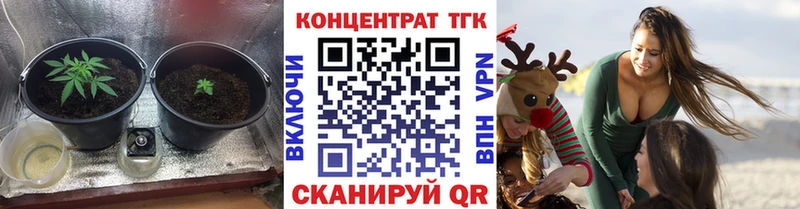 ТГК THC oil Яхрома